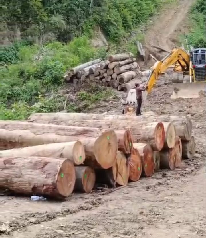 Gakkum Kehutanan Bergerak, Pembabat Hutan Ilegal Sariak Bayang Diseret ke Kajari Solok